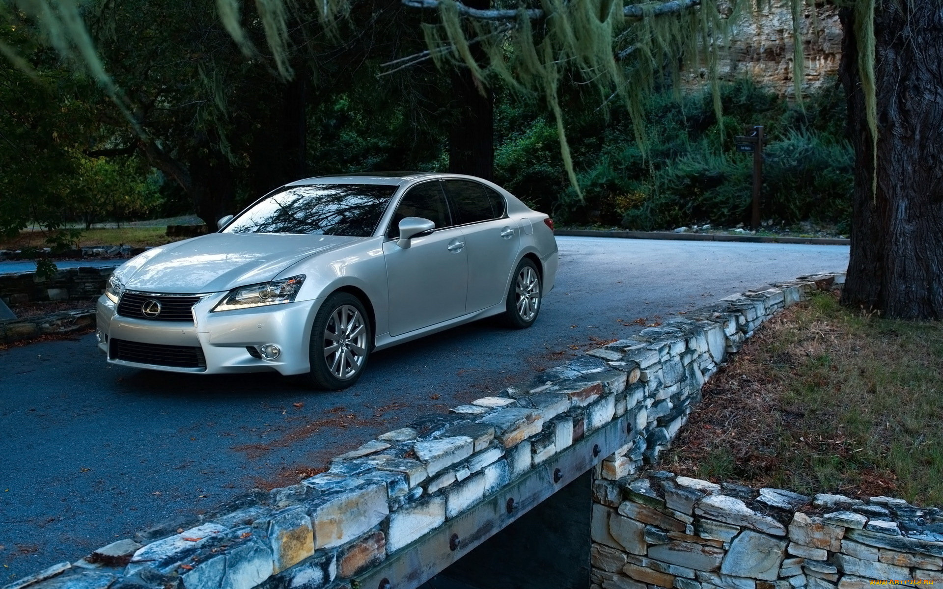 , lexus